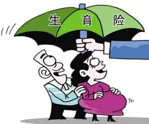 生育保險如何報銷？ 第1張