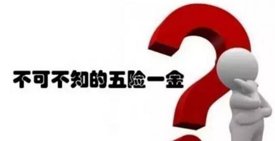 五險(xiǎn)一金好還是社保好？ 第1張